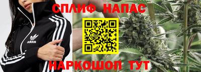 ПСИЛОЦИБИНОВЫЕ ГРИБЫ Дубна