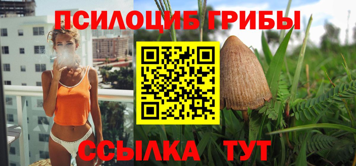 Псилоцибиновые грибы Psilocybe  Вход с VPN  как найти наркотики  Железноводск 